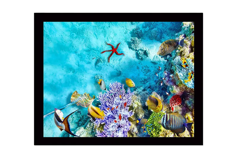 Indrammet lærredstryk i træ - 41x56 cm - Farverig undervandsscene med koralrev og fisk - Turkis / Lilla / Rød - Boligtilbehør - Billeder & kunst