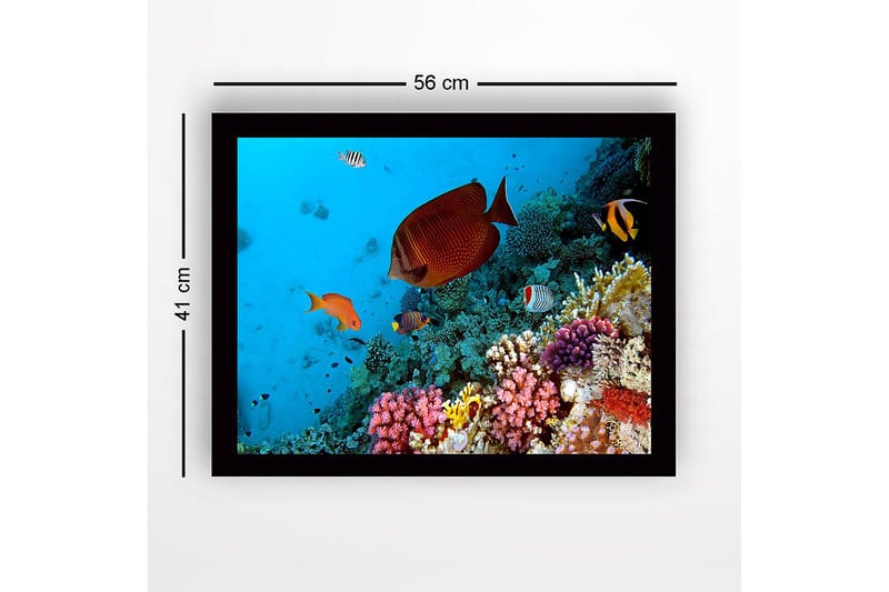 Indrammet lærredstryk i træ - 41x56 cm - Farverig undervandsscene med koralrev og tropiske fisk - Blå / Orange / Lyserød - Boligtilbehør - Billeder & kunst
