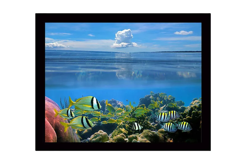 Indrammet lærredstryk i træ - 41x56 cm - Farverig undervandsscene med svømmende fisk og koralrev, Blå / Grøn / Gul