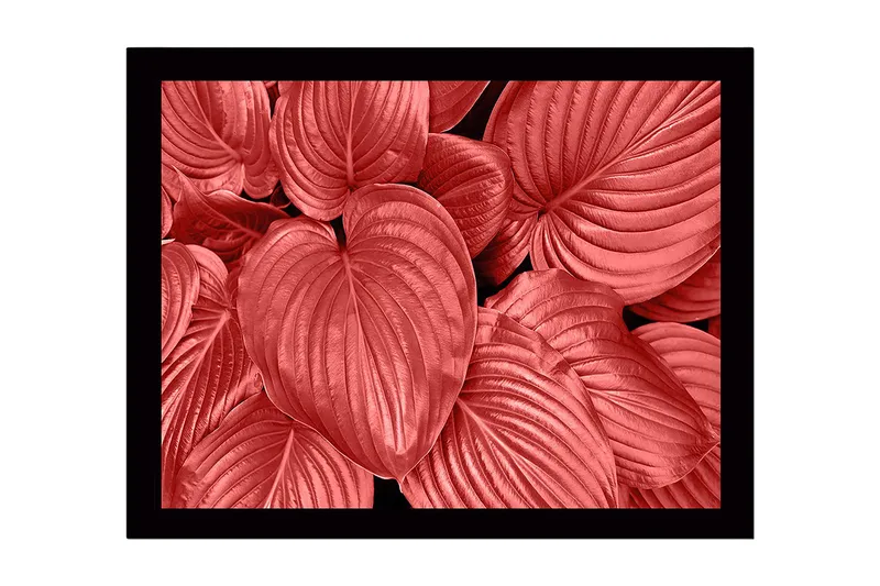 Indrammet lærredstryk i træ - 41x56 cm - Farverige blade i forskellige røde nuancer, Rød / Sort