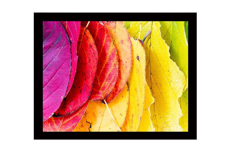 Indrammet lærredstryk i træ - 41x56 cm - Farverige efterårsblade i forskellige nuancer, Lyserød / Rød / Gul