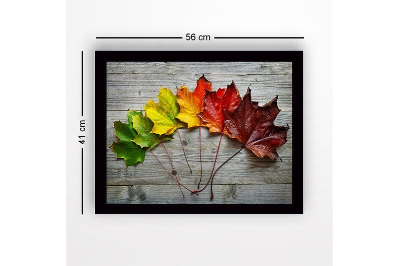 Indrammet lærredstryk i træ - 41x56 cm - Farverige efterårsblade på række - Grøn / Gul / Rød - Boligtilbehør - Billeder & kunst