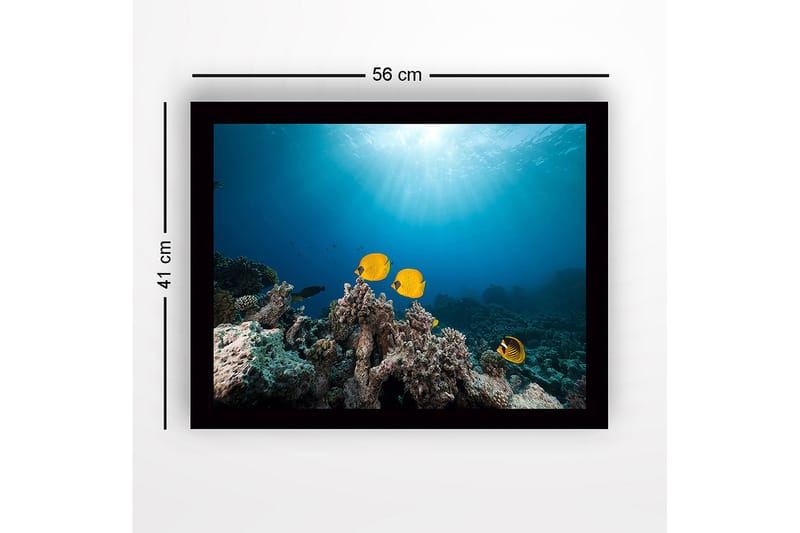 Indrammet lærredstryk i træ - 41x56 cm - Farverige fisk der svømmer blandt koralrev - Gul / Blå / Grå - Boligtilbehør - Billeder & kunst