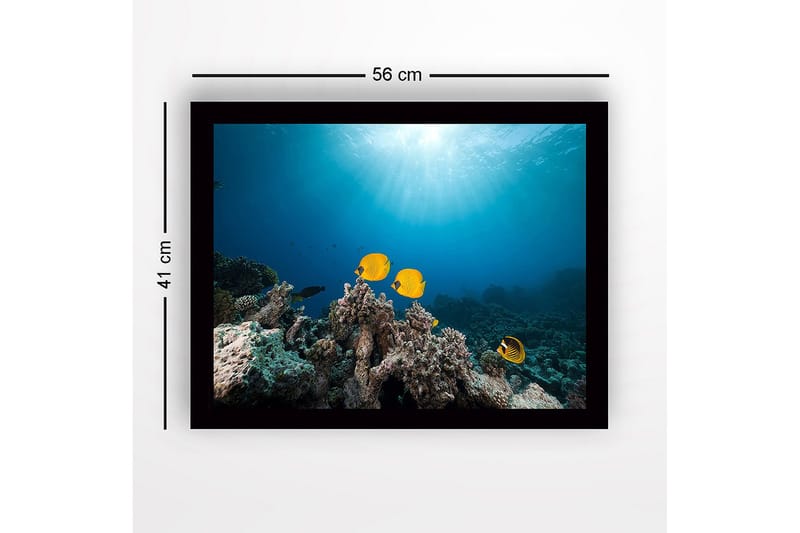 Indrammet lærredstryk i træ - 41x56 cm - Farverige fisk der svømmer blandt koralrev - Gul / Blå / Grå - Boligtilbehør - Billeder & kunst