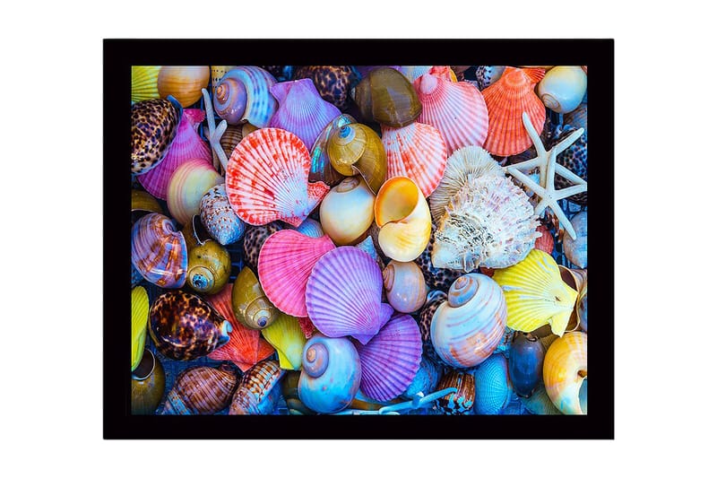 Indrammet lærredstryk i træ - 41x56 cm - Farverige muslingeskaller i forskellige former og størrelser, Lyserød / Gul / Lilla