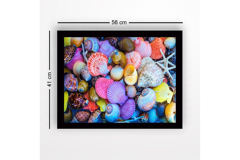 Indrammet lærredstryk i træ - 41x56 cm - Farverige muslingeskaller i forskellige former og størrelser - Lyserød / Gul / Lilla - Boligtilbehør - Billeder & kunst