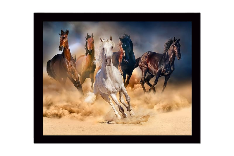 Indrammet lærredstryk i træ - 41x56 cm - Fem heste galoperer gennem en sandstorm - Hvid / Brun / Sort - Boligtilbehør - Billeder & kunst