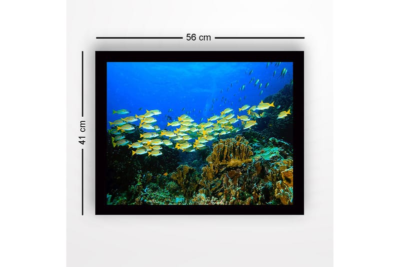 Indrammet lærredstryk i træ - 41x56 cm - Flok farverige fisk, der svømmer i et koralrev - Blå / Gul / Grøn - Boligtilbehør - Billeder & kunst