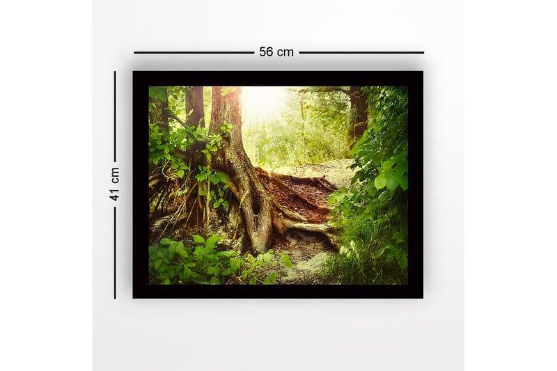 Indrammet lærredstryk i træ - 41x56 cm - Frodig skov med en stor trærod og solstråler, der siver gennem løvet - Grøn / Brun / Gul - Boligtilbehør - Billeder & kunst