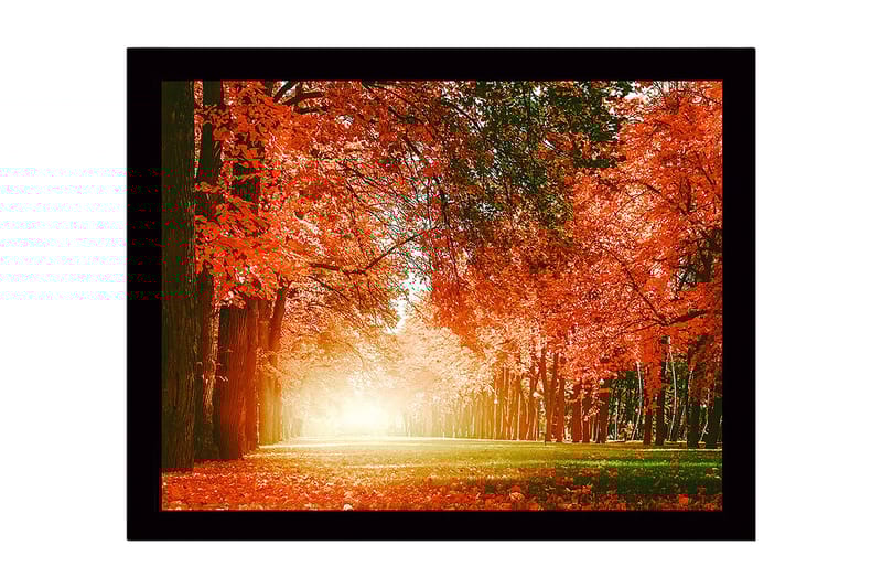 Indrammet lærredstryk i træ - 41x56 cm - Frodig skov med livlige efterårsfarver, Orange / Grøn