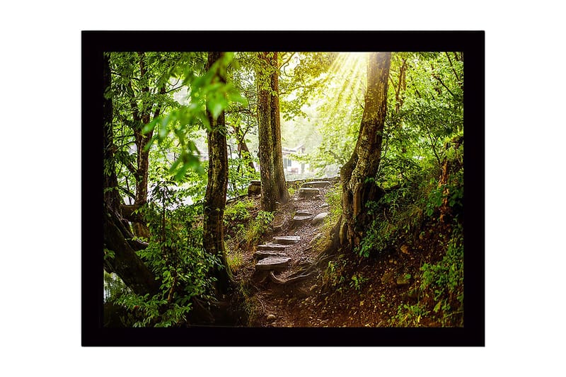 Indrammet lærredstryk i træ - 41x56 cm - Frodig skovsti med solstråler, der siver gennem træerne, Grøn / Brun