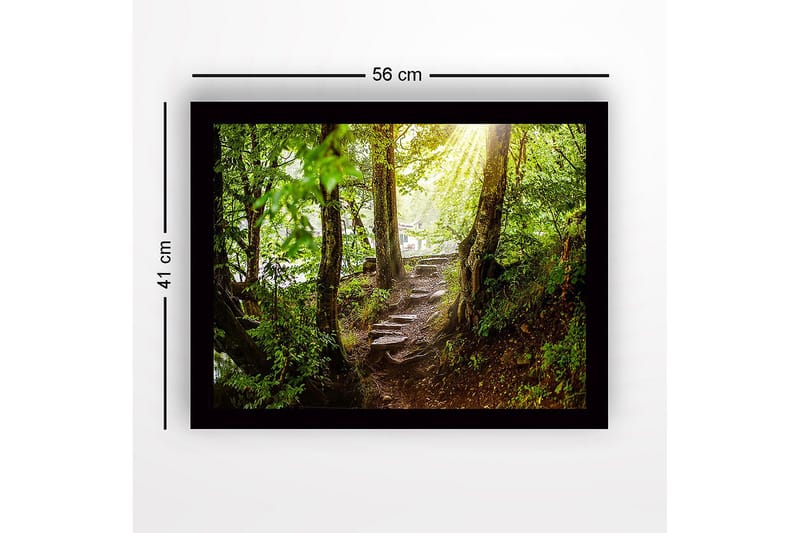 Indrammet lærredstryk i træ - 41x56 cm - Frodig skovsti med solstråler, der siver gennem træerne - Grøn / Brun - Boligtilbehør - Billeder & kunst