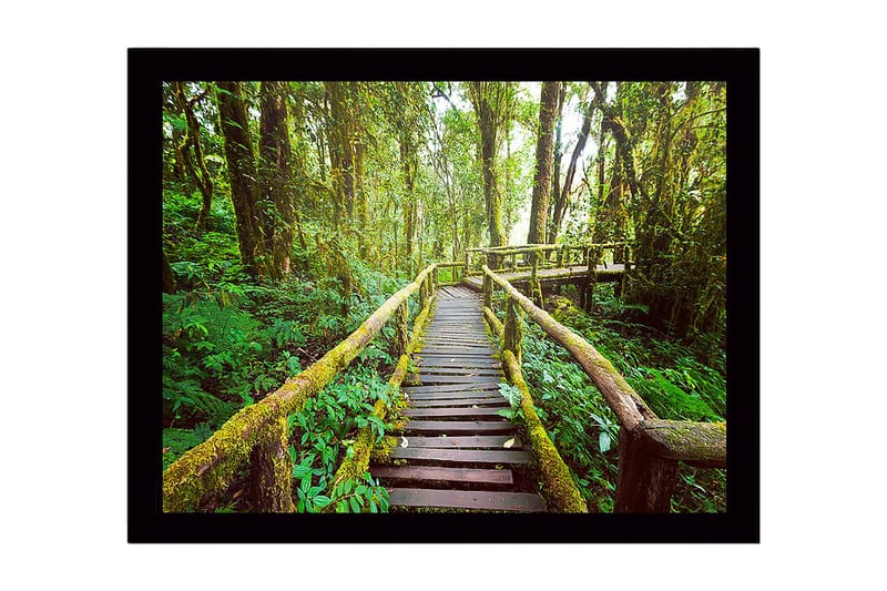 Indrammet lærredstryk i træ - 41x56 cm - Frodig skovsti med træbroer, Grøn / Brun / Gulgrøn
