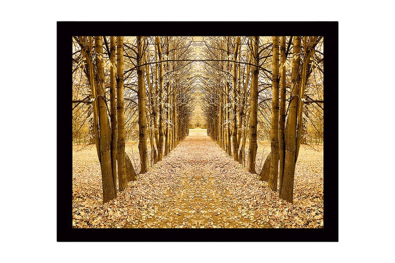 Indrammet lærredstryk i træ - 41x56 cm - Gylden allé af træer i efterårsfarver, Guld / Brun / Beige