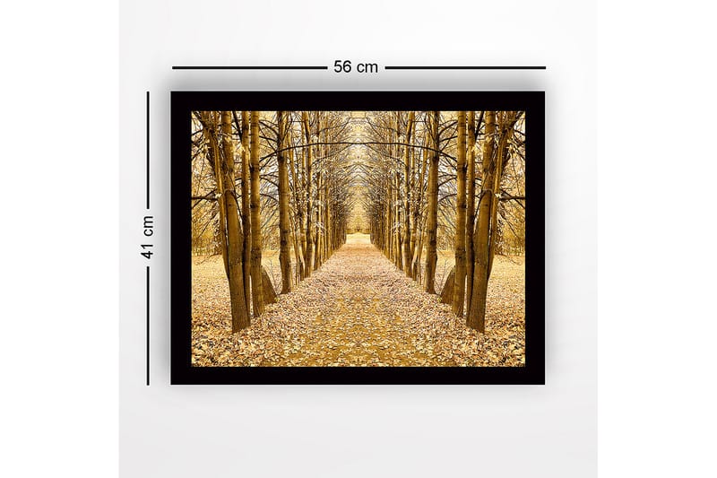 Indrammet lærredstryk i træ - 41x56 cm - Gylden allé af træer i efterårsfarver - Guld / Brun / Beige - Boligtilbehør - Billeder & kunst