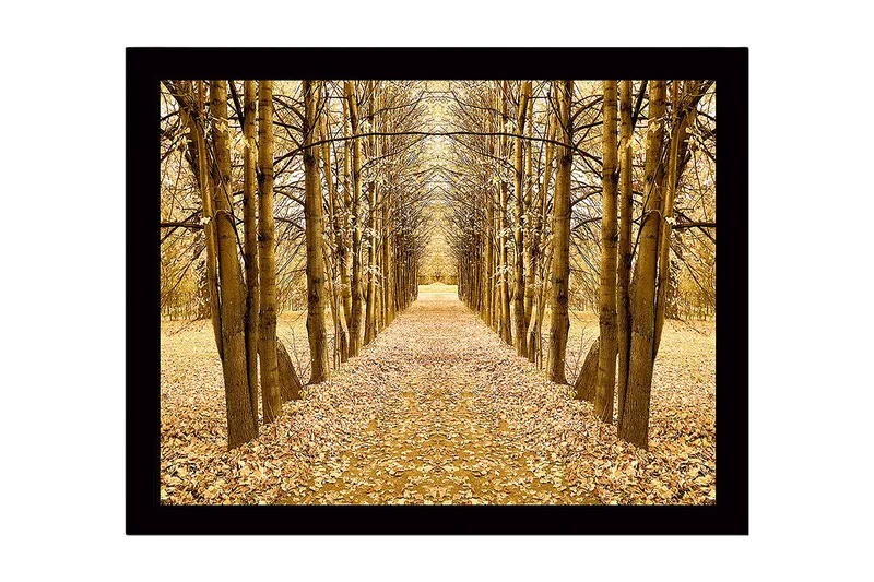 Indrammet lærredstryk i træ - 41x56 cm - Gylden allé af træer i efterårsfarver, Guld / Brun / Beige