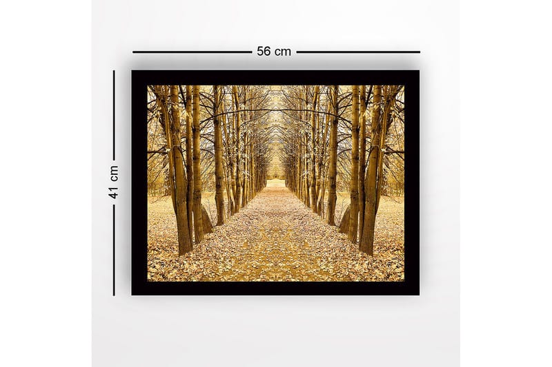 Indrammet lærredstryk i træ - 41x56 cm - Gylden allé af træer i efterårsfarver - Guld / Brun / Beige - Boligtilbehør - Billeder & kunst