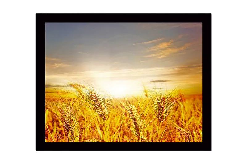 Indrammet lærredstryk i træ - 41x56 cm - Gyldne hvedemarker under solopgang, Guld / Orange / Lyseblå