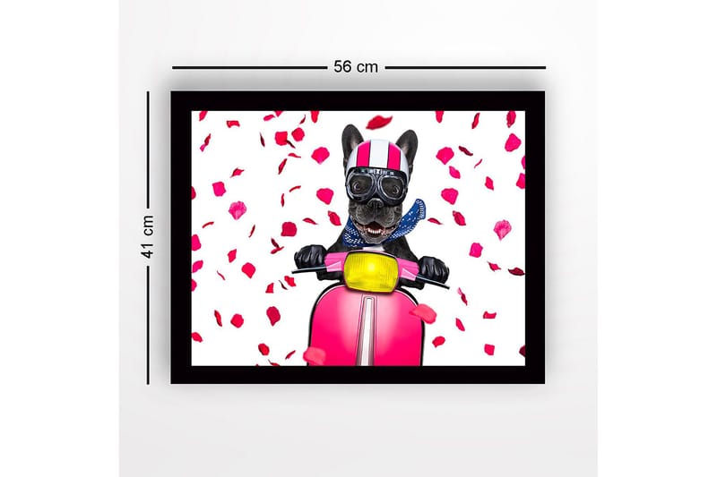Indrammet lærredstryk i træ - 41x56 cm - Hund på løbehjul med rosenbladssløjfe - Lyserød / Sort / Gul - Boligtilbehør - Billeder & kunst