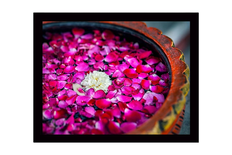 Indrammet lærredstryk i træ - 41x56 cm - Hvid blomst omgivet af lyserøde rosenblade i en skål, Lyserød / Hvid