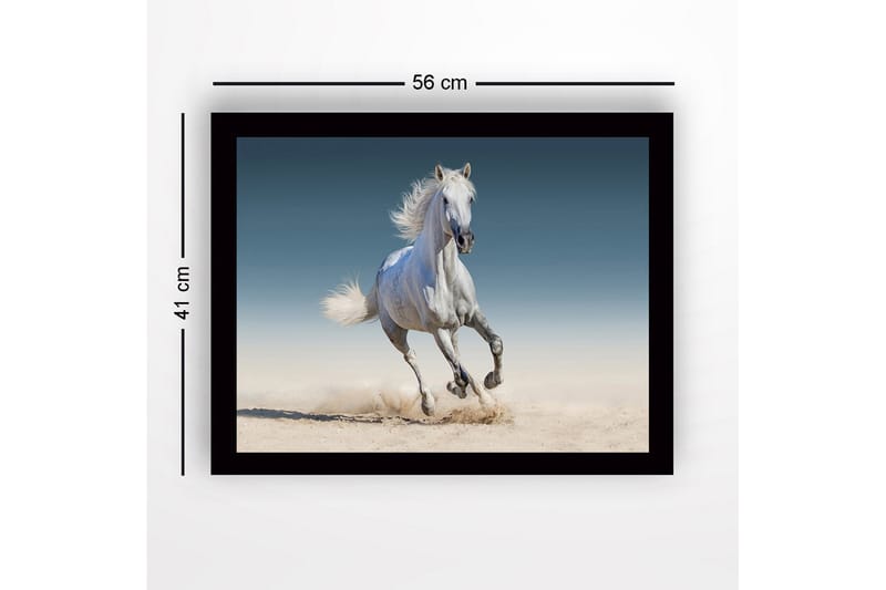 Indrammet lærredstryk i træ - 41x56 cm - Hvid hest galoperer gennem sandet - Hvid / Beige / Blå - Boligtilbehør - Billeder & kunst