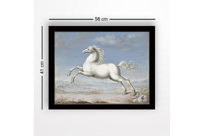 Indrammet lærredstryk i træ - 41x56 cm - Hvid hest galoperer mod en blå himmel - Hvid / Blå / Beige - Boligtilbehør - Billeder & kunst