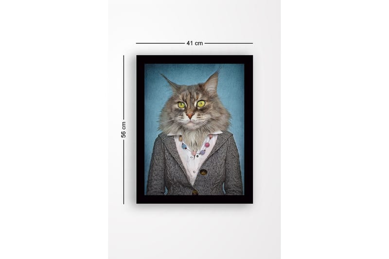 Indrammet lærredstryk i træ - 41x56 cm - Kat med mennesketøj og udtryksfulde ansigtstræk - Grå / Blå / Gul - Boligtilbehør - Billeder & kunst
