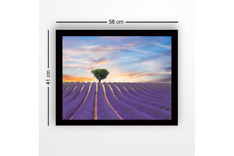 Indrammet lærredstryk i træ - 41x56 cm - Lavendelmark med en ensom trækrone i horisonten - Lilla / Grøn / Beige - Boligtilbehør - Billeder & kunst