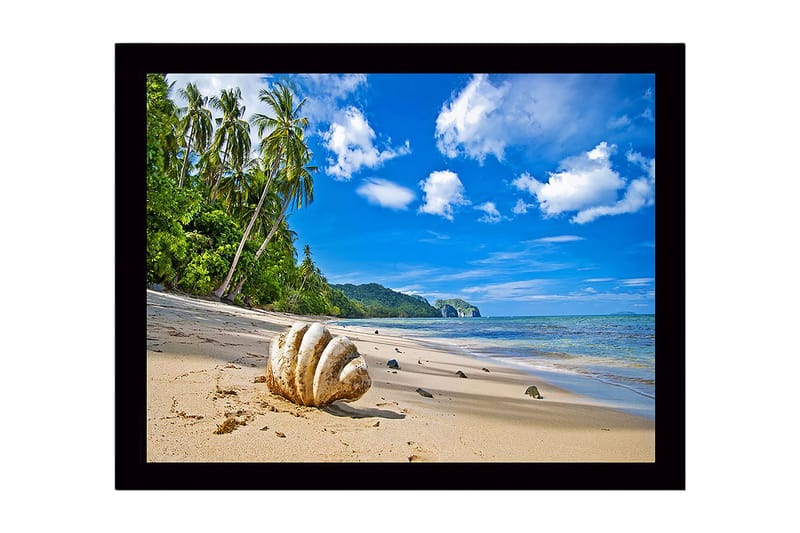 Indrammet lærredstryk i træ - 41x56 cm - Muslingeskaller på en solrig strand med palmer i baggrunden, Blå / Grøn / Beige