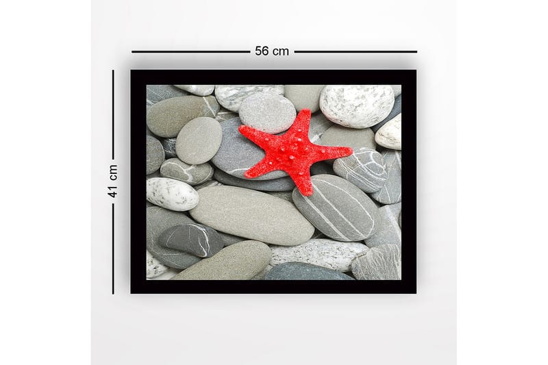 Indrammet lærredstryk i træ - 41x56 cm - Rød søstjerne på en samling af grå sten - Grå / Rød - Boligtilbehør - Billeder & kunst