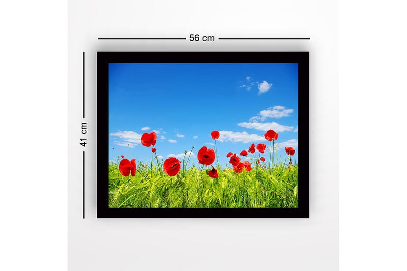 Indrammet lærredstryk i træ - 41x56 cm - Røde valmuer i en grøn eng under en klar blå himmel - Rød / Grøn / Blå - Boligtilbehør - Billeder & kunst