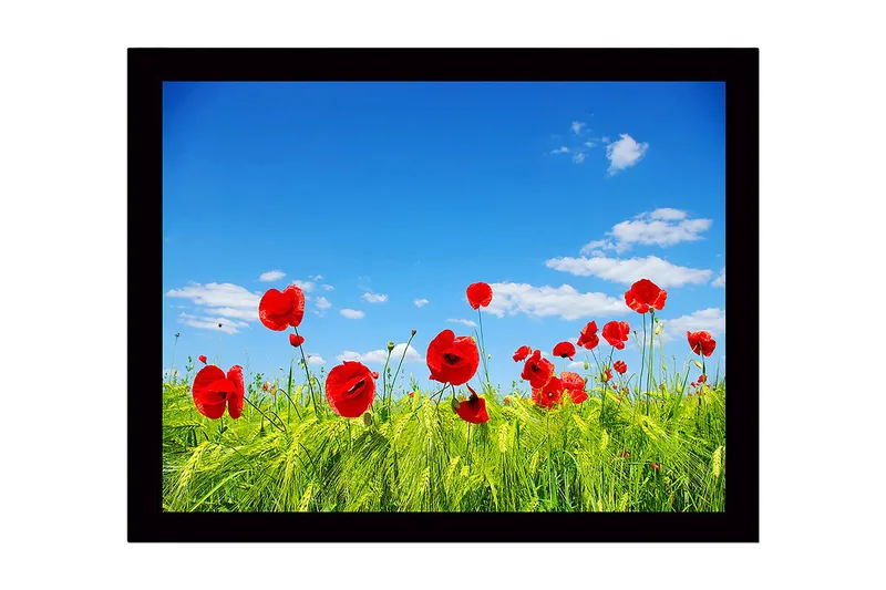Indrammet lærredstryk i træ - 41x56 cm - Røde valmuer i en grøn eng under en klar blå himmel, Rød / Grøn / Blå