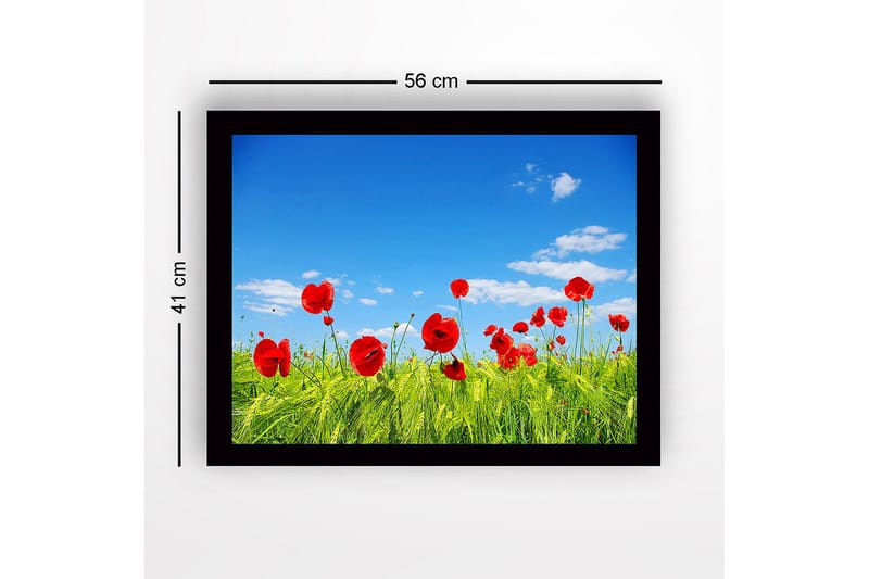 Indrammet lærredstryk i træ - 41x56 cm - Røde valmuer i en grøn eng under en klar blå himmel - Rød / Grøn / Blå - Boligtilbehør - Billeder & kunst