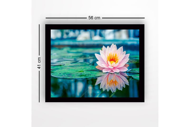 Indrammet lærredstryk i træ - 41x56 cm - Smuk åkande, der flyder på en spejlblank overflade - Lyserød / Grøn / Gul - Boligtilbehør - Billeder & kunst