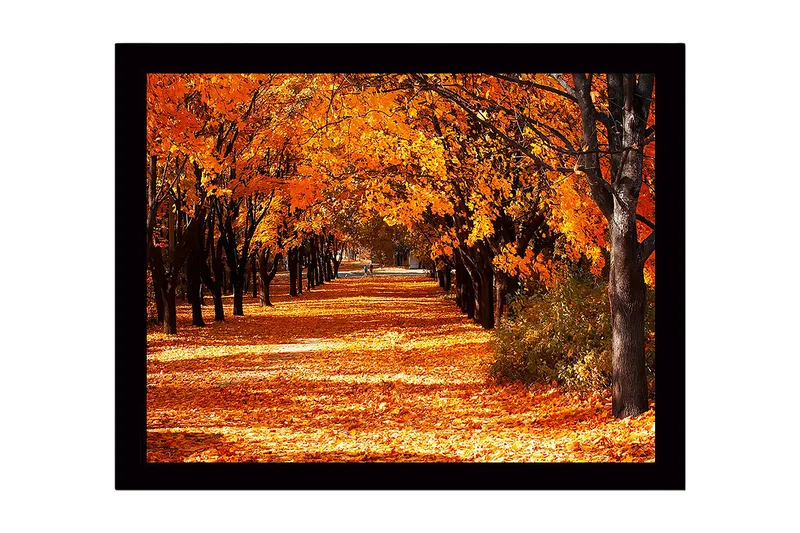 Indrammet lærredstryk i træ - 41x56 cm - Smuk allé med efterårsfarvede træer, Orange / Guld / Brun