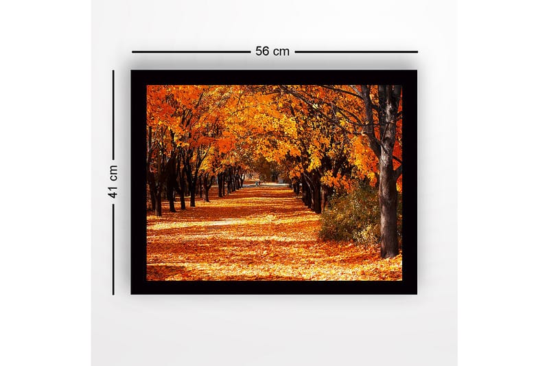 Indrammet lærredstryk i træ - 41x56 cm - Smuk allé med efterårsfarvede træer - Orange / Guld / Brun - Boligtilbehør - Billeder & kunst