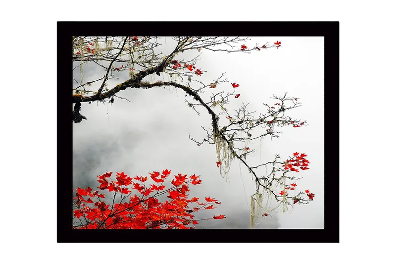 Indrammet lærredstryk i træ - 41x56 cm - Smuk gren med røde efterårsblade mod en tåget baggrund, Rød / Grå / Brun
