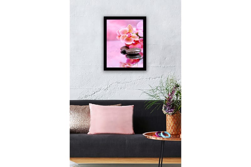 Indrammet lærredstryk i træ - 41x56 cm - Smuk orkidé med sten og vanddråber - Lyserød / Sort - Boligtilbehør - Billeder & kunst