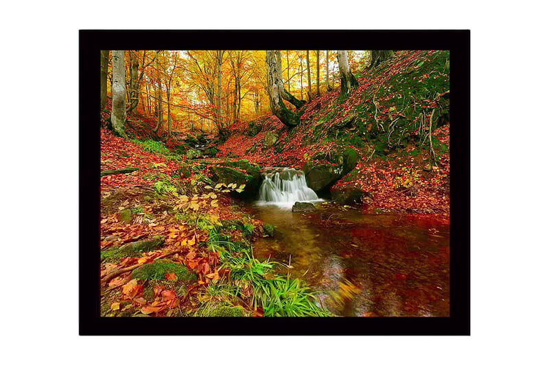 Indrammet lærredstryk i træ - 41x56 cm - Smuk skov med en rislende bæk omgivet af efterårsfarver, Rød / Orange / Grøn
