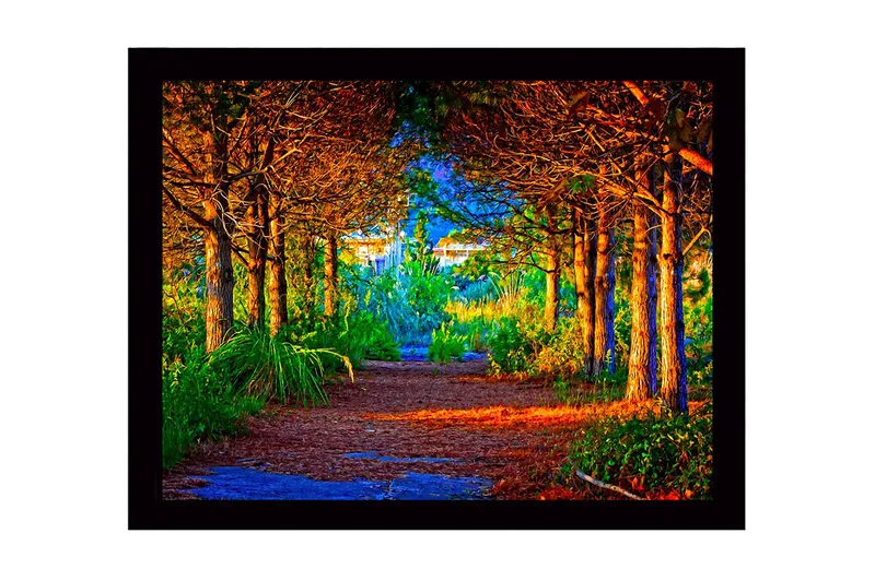 Indrammet lærredstryk i træ - 41x56 cm - Smuk skovsti omgivet af træer i gyldne og grønne nuancer, Guld / Grøn / Brun