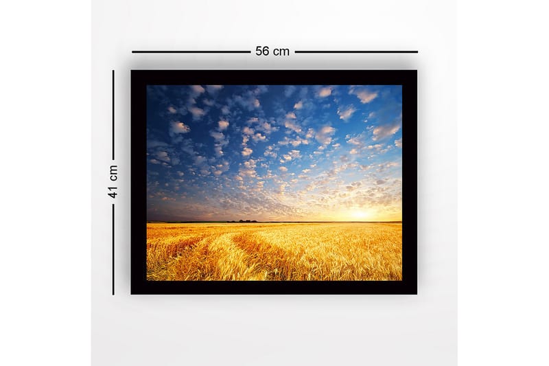 Indrammet lærredstryk i træ - 41x56 cm - Smuk solnedgang over en gylden hvedemark - Guld / Blå / Hvid - Boligtilbehør - Billeder & kunst