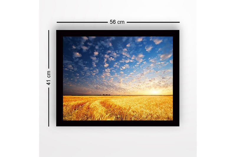 Indrammet lærredstryk i træ - 41x56 cm - Smuk solnedgang over en gylden hvedemark - Guld / Blå / Hvid - Boligtilbehør - Billeder & kunst