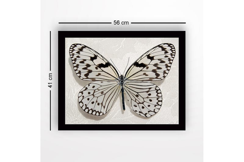 Indrammet lærredstryk i træ - 41x56 cm - Smuk sommerfugl med detaljerede mønstre i sort og hvid - Hvid / Sort - Boligtilbehør - Billeder & kunst
