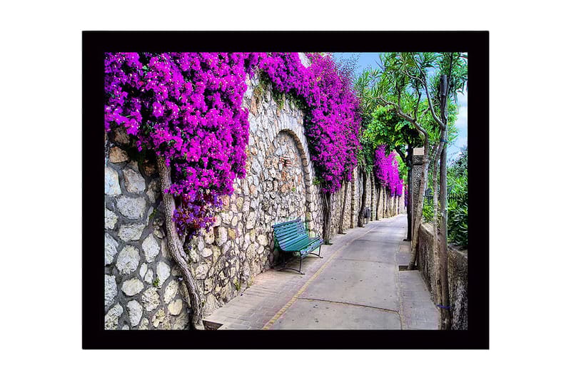 Indrammet lærredstryk i træ - 41x56 cm - Smuk sti med bougainvillea, der pryder en stenmur, Lilla / Grøn / Beige