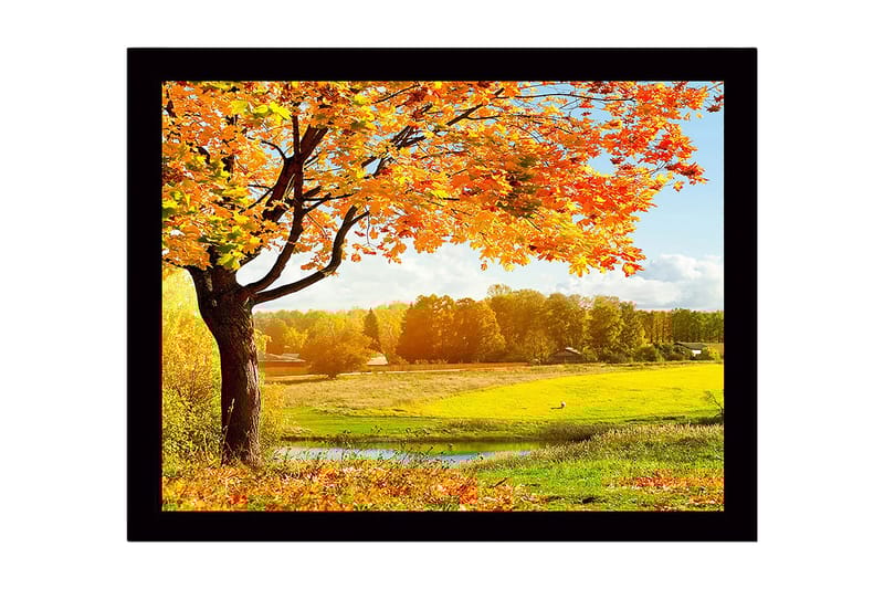 Indrammet lærredstryk i træ - 41x56 cm - Smukt efterårslandskab med et stort træ og farverige blade, Orange / Gul / Grøn