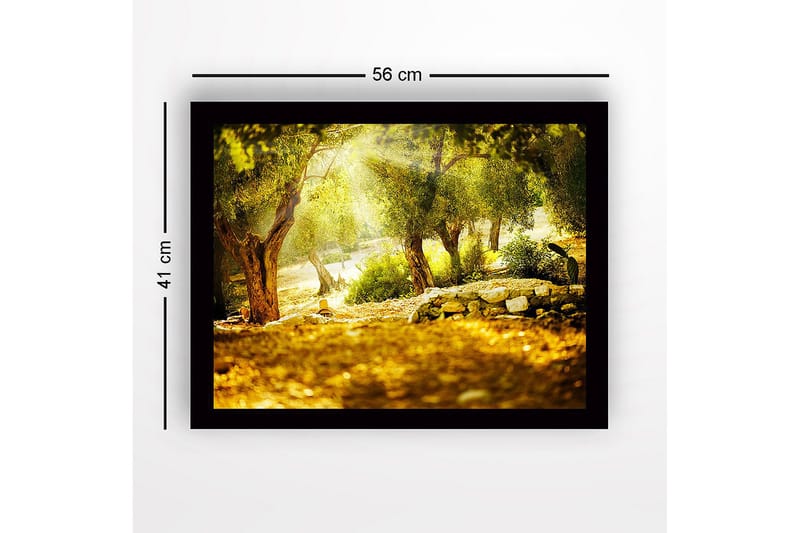 Indrammet lærredstryk i træ - 41x56 cm - Solbeskinnet skov med oliventræer - Grøn / Guld / Brun - Boligtilbehør - Billeder & kunst