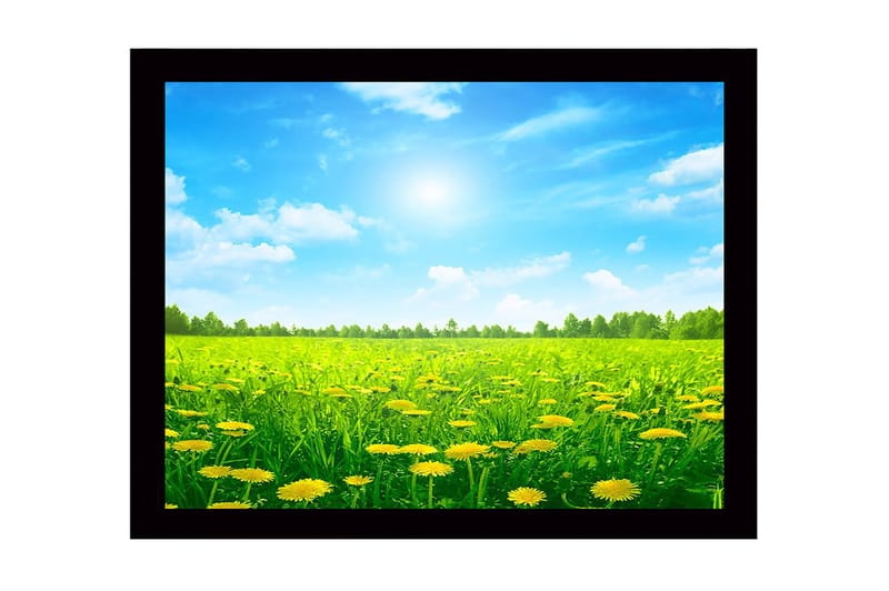Indrammet lærredstryk i træ - 41x56 cm - Solrig eng med blomstrende mælkebøtter, Grøn / Gul / Blå