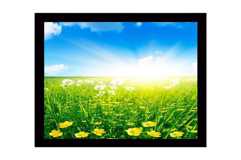 Indrammet lærredstryk i træ - 41x56 cm - Solrig eng med gule blomster og grønt græs, Gul / Grøn / Blå