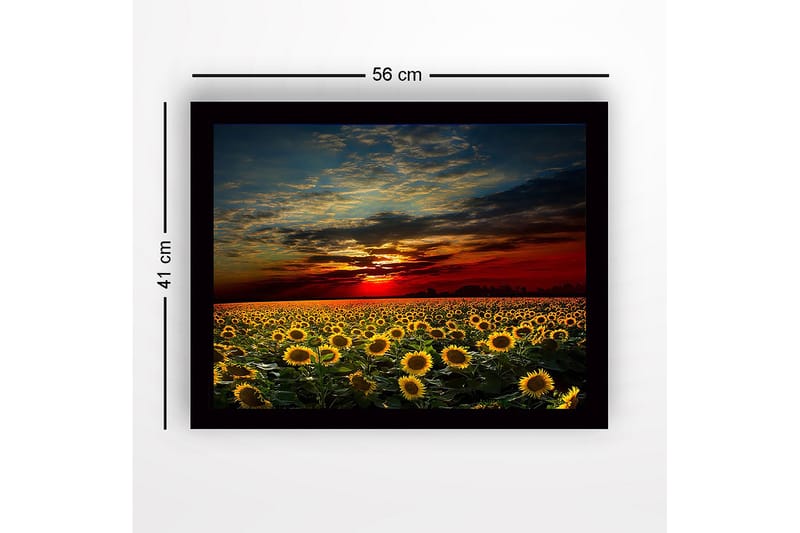 Indrammet lærredstryk i træ - 41x56 cm - Solsikkemark under en farverig solnedgang - Gul / Orange / Blå - Boligtilbehør - Billeder & kunst