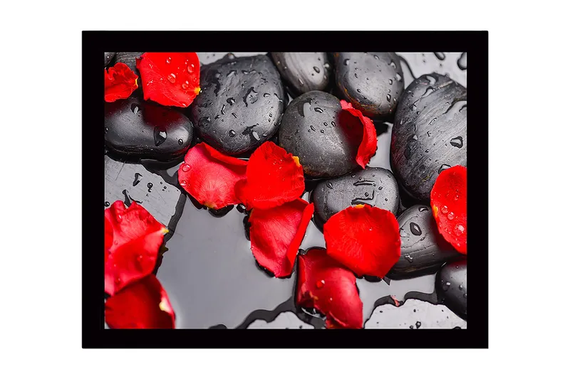 Indrammet lærredstryk i træ - 41x56 cm - Sorte sten med røde rosenblade og vanddråber, Rød / Sort